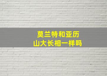 莫兰特和亚历山大长相一样吗