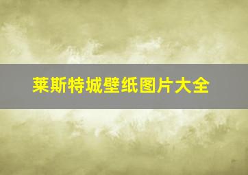 莱斯特城壁纸图片大全