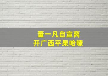 董一凡自宣离开广西平果哈嘹