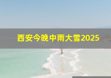 西安今晚中雨大雪2025