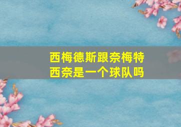 西梅德斯跟奈梅特西奈是一个球队吗