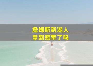 詹姆斯到湖人拿到冠军了吗