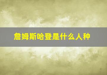 詹姆斯哈登是什么人种