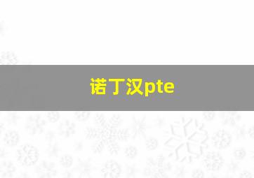 诺丁汉pte