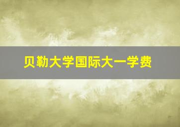 贝勒大学国际大一学费