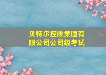 贝特尔控股集团有限公司公司级考试