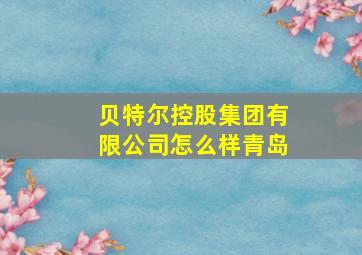 贝特尔控股集团有限公司怎么样青岛