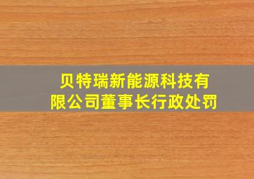 贝特瑞新能源科技有限公司董事长行政处罚