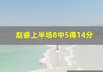 赵睿上半场8中5得14分