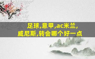 足球,意甲,ac米兰,威尼斯,转会哪个好一点