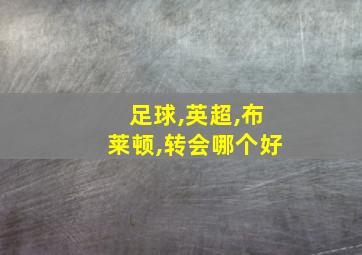 足球,英超,布莱顿,转会哪个好