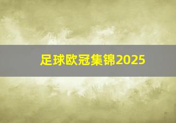 足球欧冠集锦2025