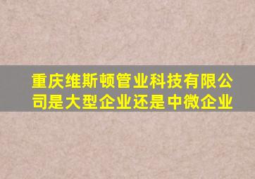 重庆维斯顿管业科技有限公司是大型企业还是中微企业