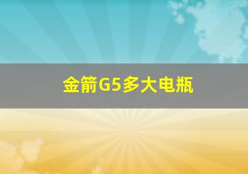 金箭G5多大电瓶