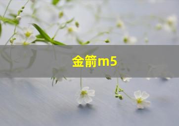 金箭m5