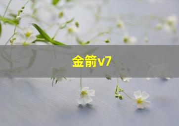 金箭v7