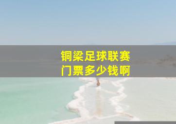 铜梁足球联赛门票多少钱啊