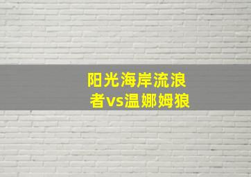 阳光海岸流浪者vs温娜姆狼