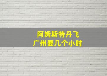 阿姆斯特丹飞广州要几个小时