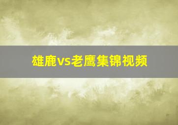 雄鹿vs老鹰集锦视频