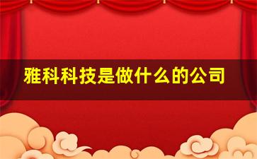 雅科科技是做什么的公司