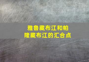 雅鲁藏布江和帕隆藏布江的汇合点