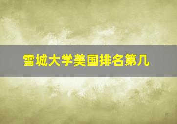 雪城大学美国排名第几