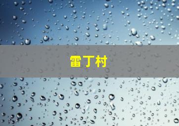 雷丁村