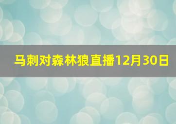 马刺对森林狼直播12月30日