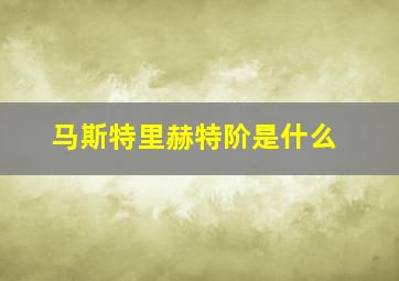 马斯特里赫特阶是什么