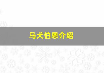 马犬伯恩介绍