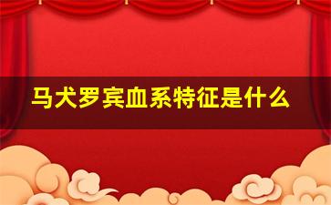 马犬罗宾血系特征是什么