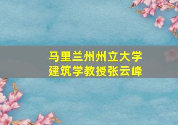 马里兰州州立大学建筑学教授张云峰