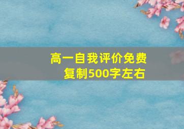 高一自我评价免费复制500字左右