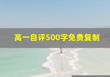 高一自评500字免费复制