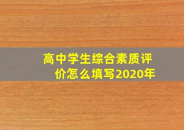 高中学生综合素质评价怎么填写2020年