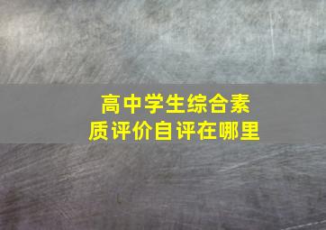 高中学生综合素质评价自评在哪里