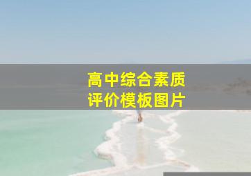 高中综合素质评价模板图片