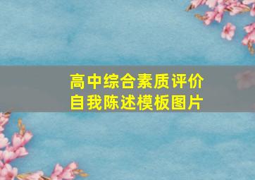 高中综合素质评价自我陈述模板图片