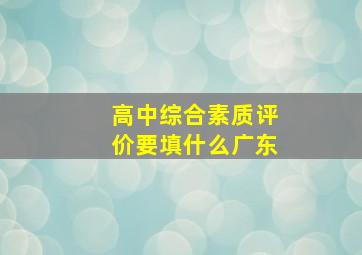 高中综合素质评价要填什么广东