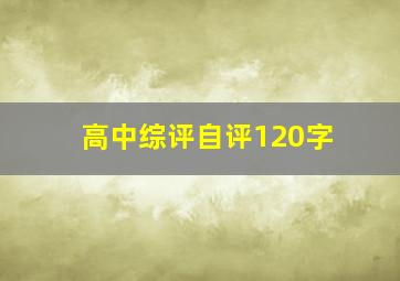 高中综评自评120字