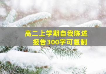 高二上学期自我陈述报告300字可复制