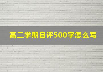 高二学期自评500字怎么写