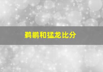 鹈鹕和猛龙比分