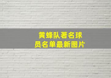 黄蜂队著名球员名单最新图片